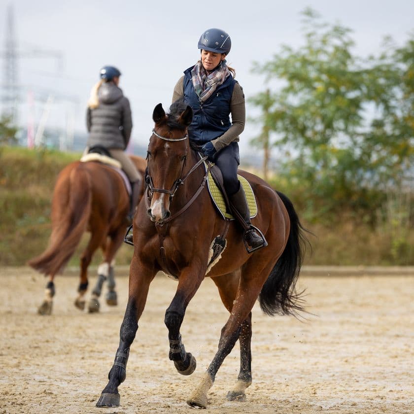 Two horses riding in opposite directions